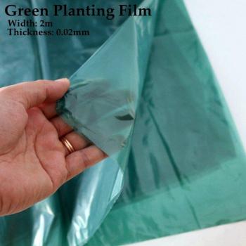 Ginger Grow Mulch Film