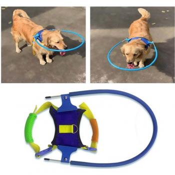 Arnés anticolisión para mascotas con discapacidad visual