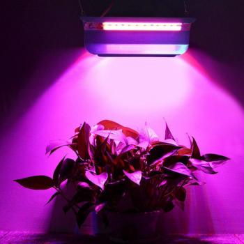 Volledig Spectrum LED Plantlicht 50W/80W voor Binnengebruik