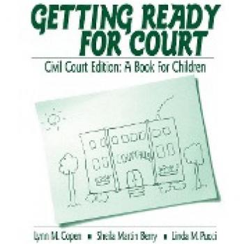 Getting Ready for Court, Interpersonal Violence: The Practice Series