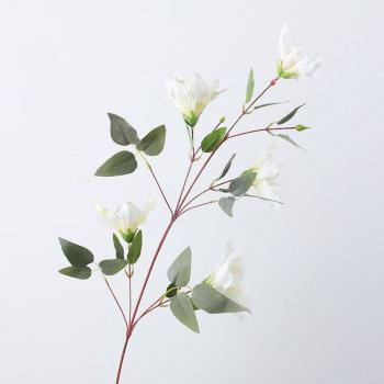 Silk Clivia Orchid Long Branch with Leaves - Luxury Artificial Flowers for Home and Wedding Decor