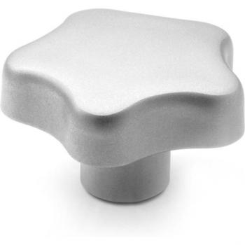 Elemento Ganter GN 5334 in Acciaio Inox