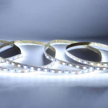 Nastri Strisce LED 24V 9W/m 5m 60LED IP54 5m Bianco Freddo 6000K Silicone