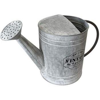 Regadera de metal zinc 41x18x25 cm