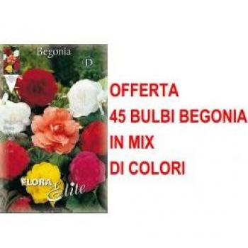 Begonia Double Mix, 45 Bulbi in Offerta
