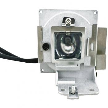 V7 Replacement Lamp for Epson V13H010L79 - projector lamps
