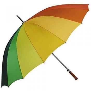 Vivid Spectrum Golf Shield