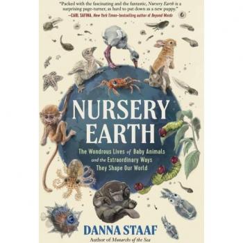 Danna Staaf Nursery Earth