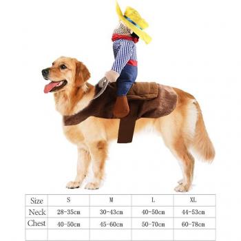 Cat Pet Supplies