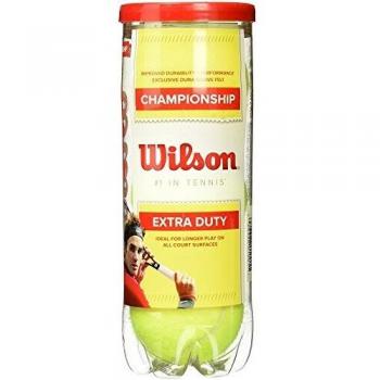 Wilson Championship Extra Duty Tennis Balls (24 Cans)