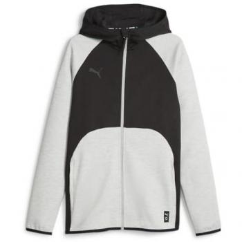 Puma Hoops Team Dime Hoodie Grau F002