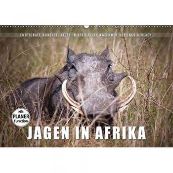Emotionale Momente: Jagen in Afrika.