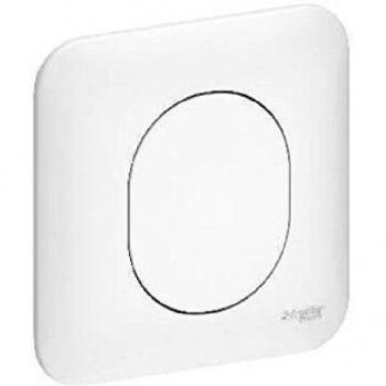 SCHNEIDER ELECTRIC Obturateur a griffes Ovalis