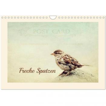 Freche Spatzen (Wandkalender 2024 DIN A4 quer) CALVENDO Monatskalender