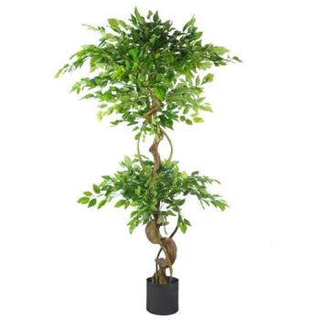 Ficus Twisted‑Trunk Botanical 150 cm Black