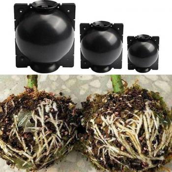 Adjustable Plant Rooting Ball Set (5pcs) - Grafting and Growing Box for Indoor Gardening, Sizes 5cm/8cm/12cm