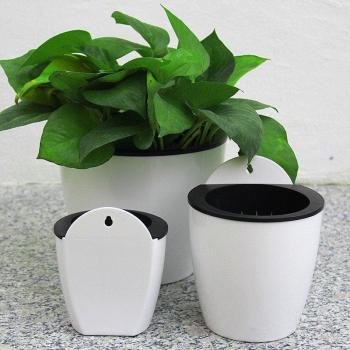 Cuenco Colgante “Pez Verde”