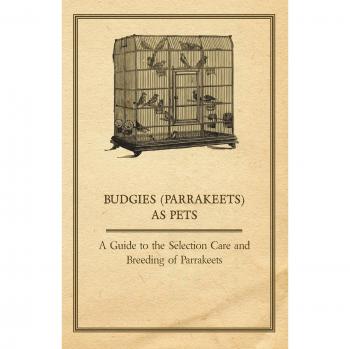 Budgies (Parrakeets) as Pets - A Guide to the Selection Care and Breeding of Parrakeets