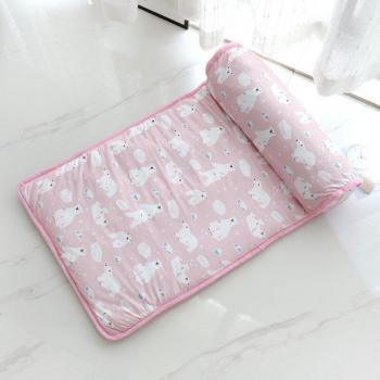 Pet Ice Cooling Pad for Dogs and Cats