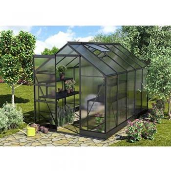 EPH Vitavia Gewächshaus Apollo 6200 6,2 m² HKP 4 mm schwarz pulverbeschichtet