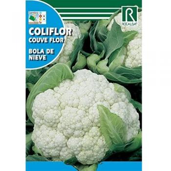 Caciflor Snow Ball 3G X 10 BUSTE – Rocalba