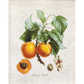 Luca-S Kreuzstich Set Abricot-Peche mit Zählstoff