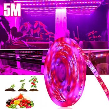 5050 SMD 5M LED Wachstumslampe Gesamtes Spektrum IP33 IP65 DC12V 300 LEDs für Pflanzen