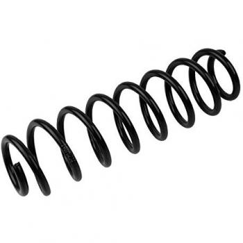 NK Feder hinten Skoda Fabia