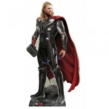 Thor SC806 Star‑Aussparungspappe