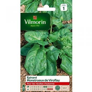 Nasiona Szpinaku Monstrualnego Viroflay - VILMORIN