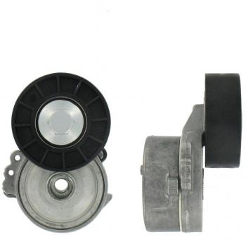Poly V-riem Riemspanner SKF VKM 33320