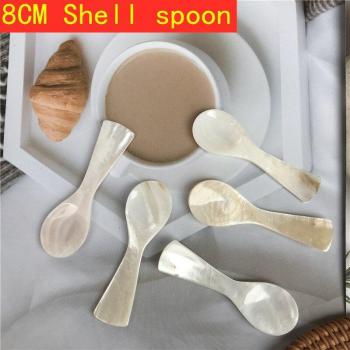 Conch Shell Spoon