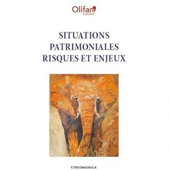Situations patrimoniales : risques et enjeux - Olifan Group