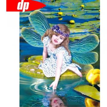 Kit di pittura a diamante ragazza elfo