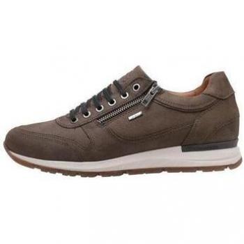 KANGAROOS 472 44 Grey