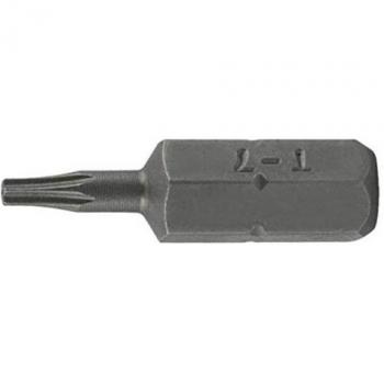 SW‑Stahl TBM / 4‑T30 Schrauberbit (mit TR‑Profil)