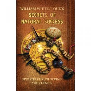 Secrets of Natural Success : Five Steps to Unlocking Your Genius