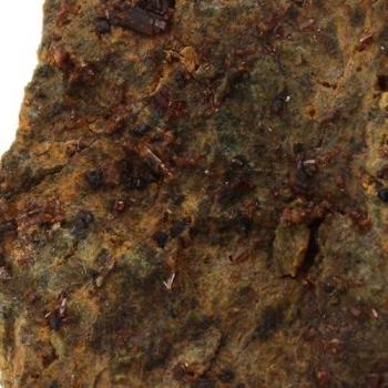 VESUVIANITE - Pierre Naturelle en Provenance de France, Rocher de Farinole, Olmeta-di-Capocorso - Cristal Vert Olive Brillant, Collection Minérale Rare - 71.0 ct - Certificat d'Authenticité Inclus 42 x 26 x 17 mm