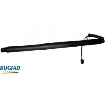 Bugiad BRD50793 vérin hayon