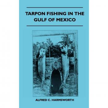 Tarpon Fishing In The Gulf Of Mexico