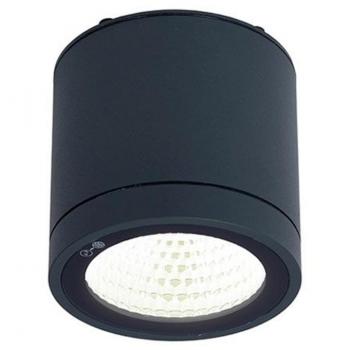 Ansell LED Downlight Furia - Anthracite, 10W, 719lm, Warm White, 100mm, IP55