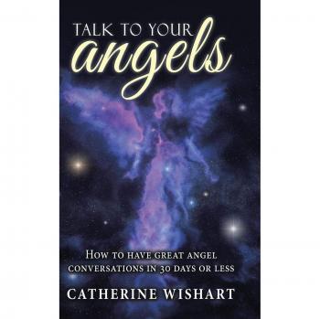 Talk to your angels: How to have great angel conversations in 30 days or less
