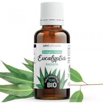 Essence de Eucalyptus Radiata – 30 ml (Aromathérapie)