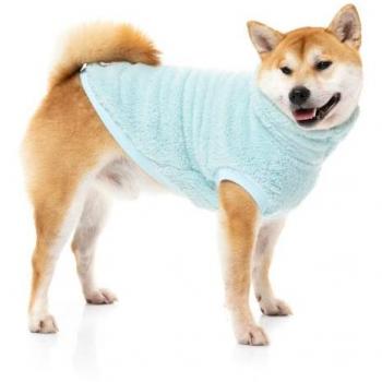 FuzzYard Turtle Teddy Sweatshirt Blue Arctic Ice