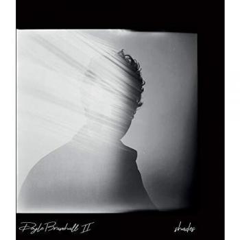 Shades (2lp 180 Gr.Gatefold Sleeve+Mp3) [Vinyl LP]