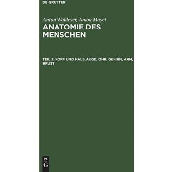 Kopf und Hals Auge Ohr Gehirn Arm Brust