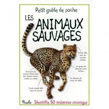Sally Morgan Les Animaux Sauvages