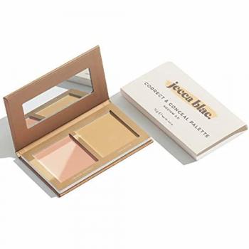 Jecca Blac Correct & Conceal Palette (Medium 20)