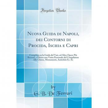 Nuova Guida di Napoli, dei Contorni di Procida, Ischia e Capri: Compilata su la Guida del Vasi, ed Altre Opere Più Recenti, e Dietro una Visita ... Monumenti, Antichità Ec. Ec