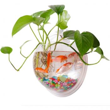 Maceta de Pared para Peces y Plantas